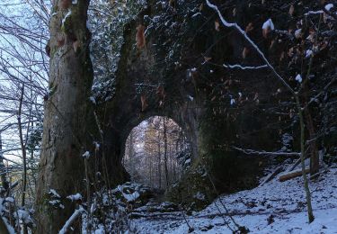 Tocht Te voet Gößweinstein - Von der Fellner-Doline zur Stempfermühlquelle - Photo