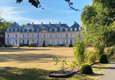 Randonnée Marche Sassetot-le-Mauconduit - Sassetot - Photo