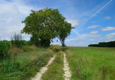 Percorso Marcia Crissay-sur-Manse - Crissay-sur-Manse - Neuil Avon-les-Roches - 24.9km 370m 5h20 (30mn) - 2021 07 11 - Photo