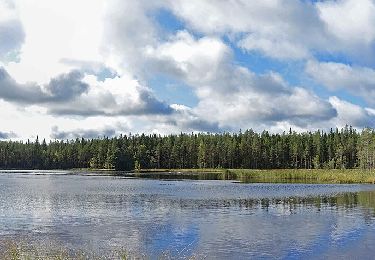 Percorso A piedi Saarijärvi - Tulijärven polku - Photo