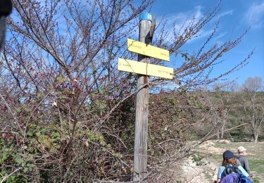 Randonnée Marche Aureille - les Alpilles d aureille - Photo