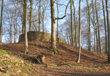 Tocht Te voet Rotenburg an der Fulda - Heienbach-Tour - Photo