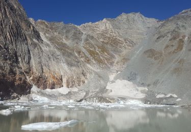 Percorso Marcia Pralognan-la-Vanoise - Lac glaciaire de la Patinoire        Pralognan - Photo