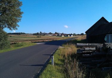 Percorso A piedi Gemeinde Grafenschlag - Walpurgisweg - Photo