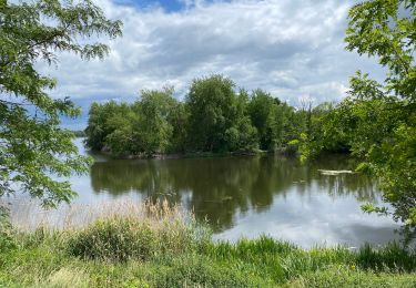 Trail Walking Condé-sur-l'Escaut - Condé sur l’Escaut 15,4 km - Photo
