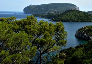 Percorso A piedi Alghero - Sentiero principale - Photo