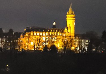 Tour Wandern Luxemburg - luxembourg - Photo