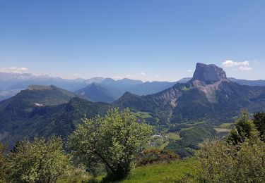 Percorso Marcia Gresse-en-Vercors - Quinquambaye - crête du Brisou - Photo