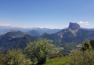 Excursión Senderismo Gresse-en-Vercors - Quinquambaye - crête du Brisou - Photo