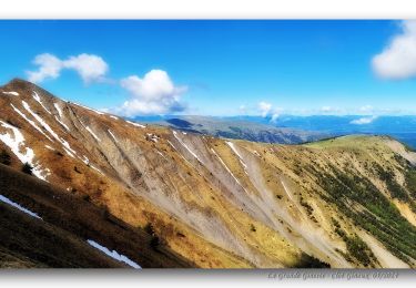 Tour Wandern Bayons - Clot Ginoux via Grande Gineste - Photo