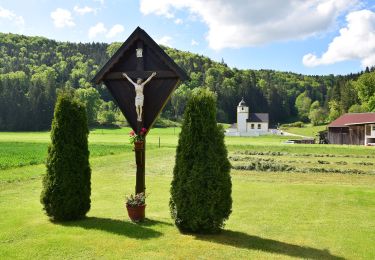 Tocht Te voet Kipfenberg - Rundwanderweg Kipfenberg 15 - Photo