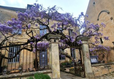 Trail Walking Auxerre - auxerre vezelay - Photo