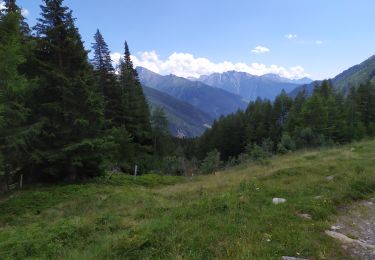 Trail Walking Mallnitz - Hagener Hutte - Photo
