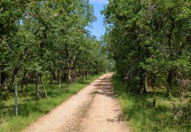 Tour Wandern Penne - Fabre - les Suquets - Photo