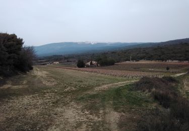 Trail Walking Villes-sur-Auzon - villes sur auzon 84 - Photo