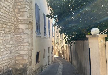 Percorso Marcia Sault - Sault - Photo