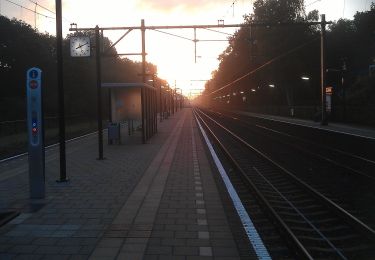 Tour Zu Fuß Arnheim - NS-wandeling Warnsborn - Photo