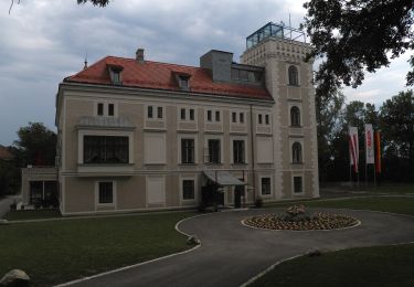 Tour Zu Fuß Gemeinde Leopoldsdorf - Augenblick Runde - Photo