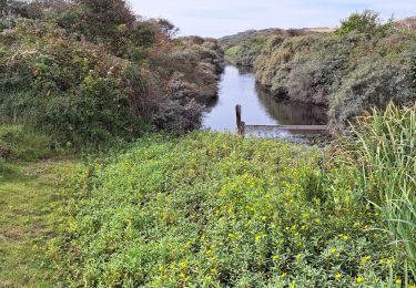 Tour Wandern Veere - veere - Photo