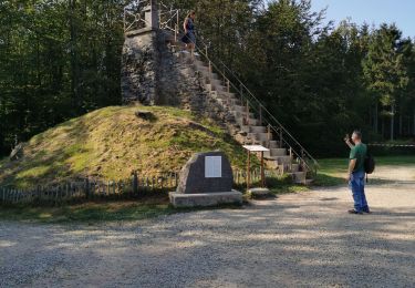 Tour Wandern Weismes - Signal Botrange 10 km 2020 - Photo