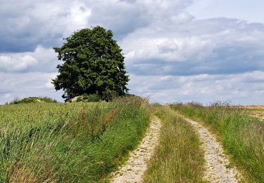 Randonnée Marche Havelange - Méan-Maffe - Photo