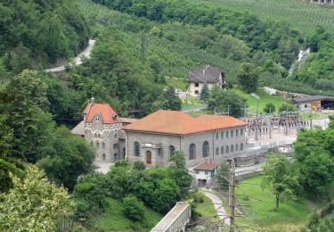 Percorso A piedi Tirolo - Algunder Waalweg - Photo