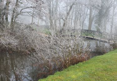 Tour Wandern Pepingen - Château Ter Rijst tour - Photo