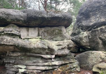 Trail Walking Arbonne-la-Forêt - Forêt de Fontainebleau Tour de la Vierge et Le Hurlevent - Photo