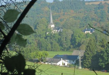 Excursión A pie Adenau - Auf den Spuren der Ordensritter - Photo