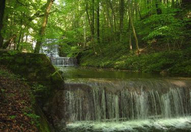 Percorso A piedi Küsnacht (ZH) - Küsnachter Tobel - Blüemlisalp - Photo