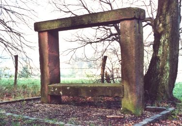 Tour Zu Fuß Weißenburg - Rotes Kreuz - Photo