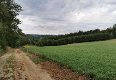 Tocht Stappen Bouillon - Curfoz- moulin de l'épine-Curfoz - Photo