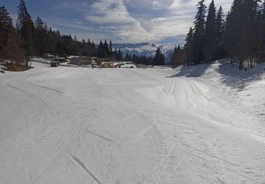 Percorso Sci di fondo Autrans-Méaudre en Vercors - Meaudre  - Photo