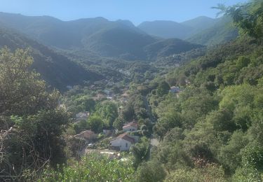 Percorso Marcia Laroque-des-Albères - RP66 LAROQUE VALLÉE HEUREUSE SOREDE.  - Photo
