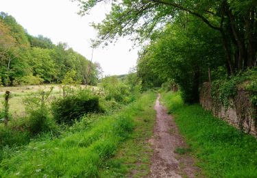 Tour Wandern Savonnières - Savonnières - variante Sentier du Grand Moulin - 12.1km 120m 2h30 - 2021 05 29 - Photo