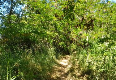 Trail Bicycle tourism Sète - Sète -Narbonne - Photo
