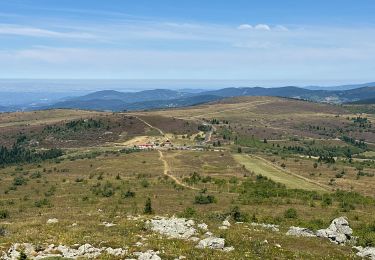 Trail Walking Saint-Pierre-la-Bourlhonne - Col du Beal  - Photo