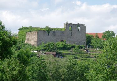 Randonnée A pied Bietigheim-Bissingen - DE-SAV Blauer Balken, von-nach? - Photo