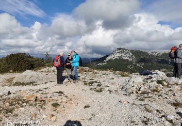 Tour Wandern Ollioules - Le croupatier vallon des bonnes herbes cap gros - Photo