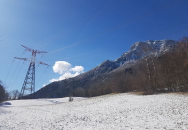 Excursión Bici de montaña Seyssins - Petite escapade électrique au-dessus de 38 Seyssins - Photo