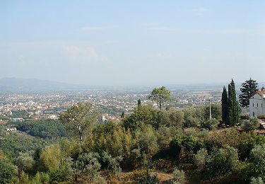 Trail On foot Buggiano - Sentiero 3 