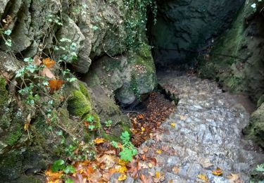 Trail Walking Dinant - Parc naturel Furfooz - Photo