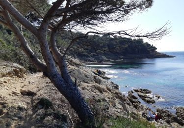 Randonnée Marche La Croix-Valmer - Cap Lardier et Cap Taillat -  Boucle - Photo