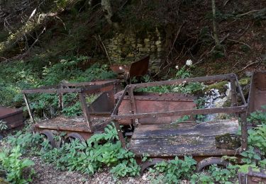 Tocht Stappen Bonac-Irazein - sentier découverte Decauville - Photo