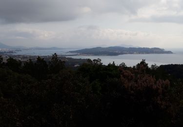 Trail Walking La Seyne-sur-Mer - Notre-Dame du Mai Forêt de Janas-26-03-21  - Photo