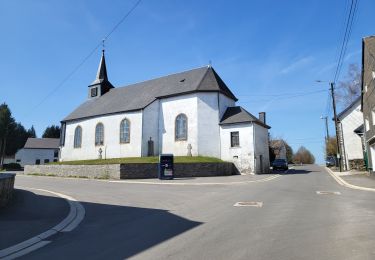 Tocht Stappen Léglise - Ebly 100425 - Photo