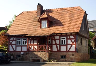 Percorso A piedi Schöllkrippen - Ortswanderweg Schöllkrippen 5 - Photo