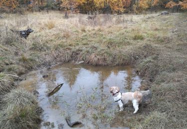 Tocht Stappen Crots - la Draye 301021 - Photo