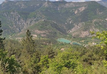 Tour Wandern La Motte-Chalancon - Boucle à Cornillon - Photo