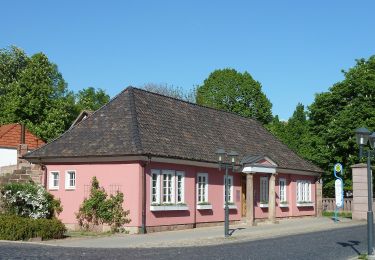 Tour Zu Fuß Heilbad Heiligenstadt - Dün Rundwanderweg (Grüner Balken) - Photo